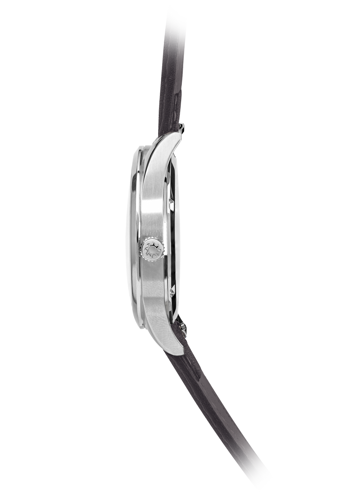 Sovereign Silver / Black Strap