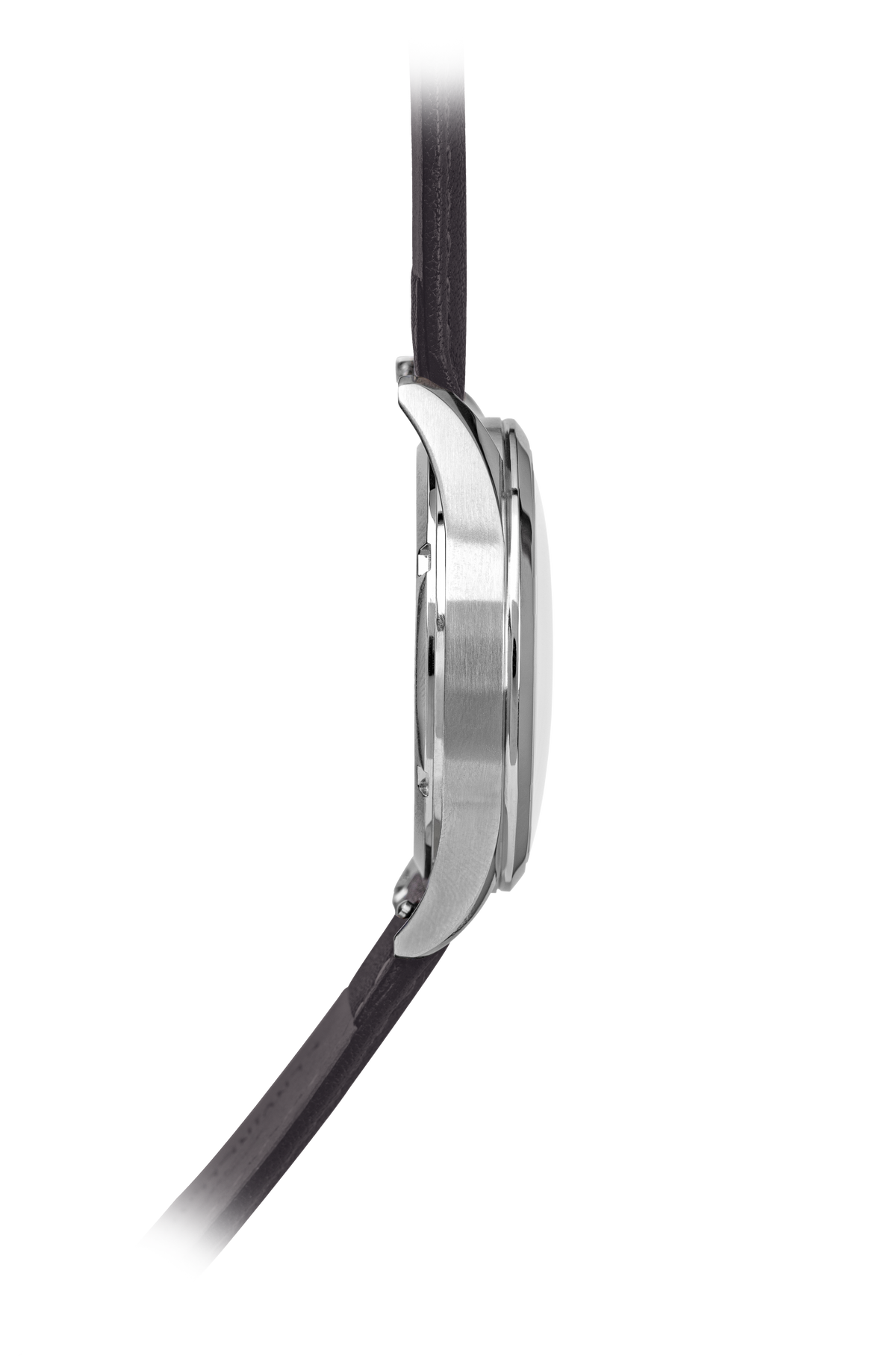 Sovereign Silver / Black Strap