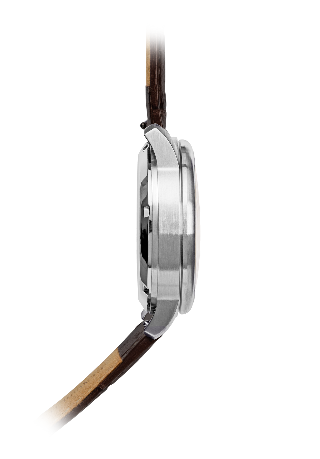 Celeritas Black / Brown Strap